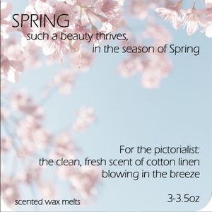 Handmade Soy SPRING Wax Melts Tarts
